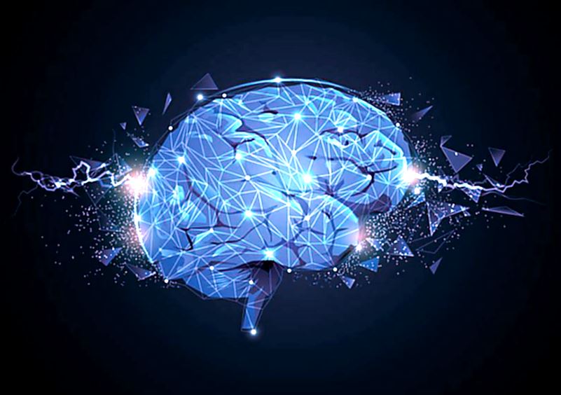 Activitatle electrice ale creierului uman.